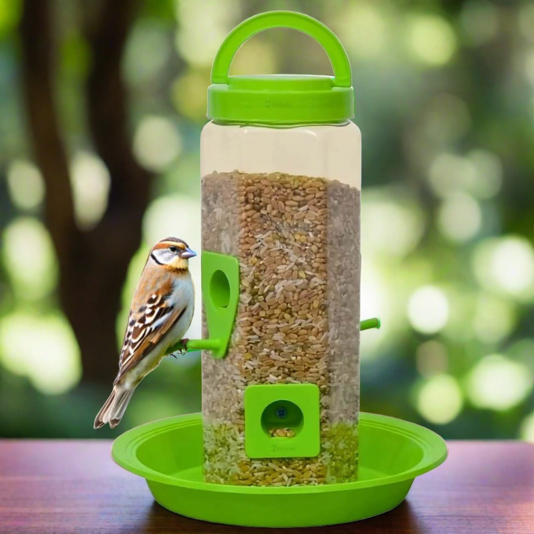 Bird Feeder